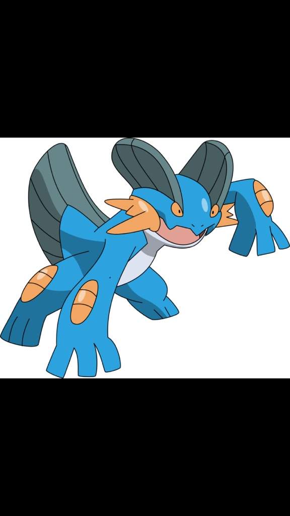 Swampert | Wiki | Pokémon Amino