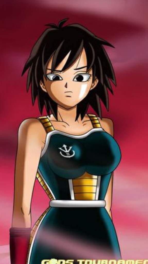 Our Heroes Moms Dragonballz Amino 9553