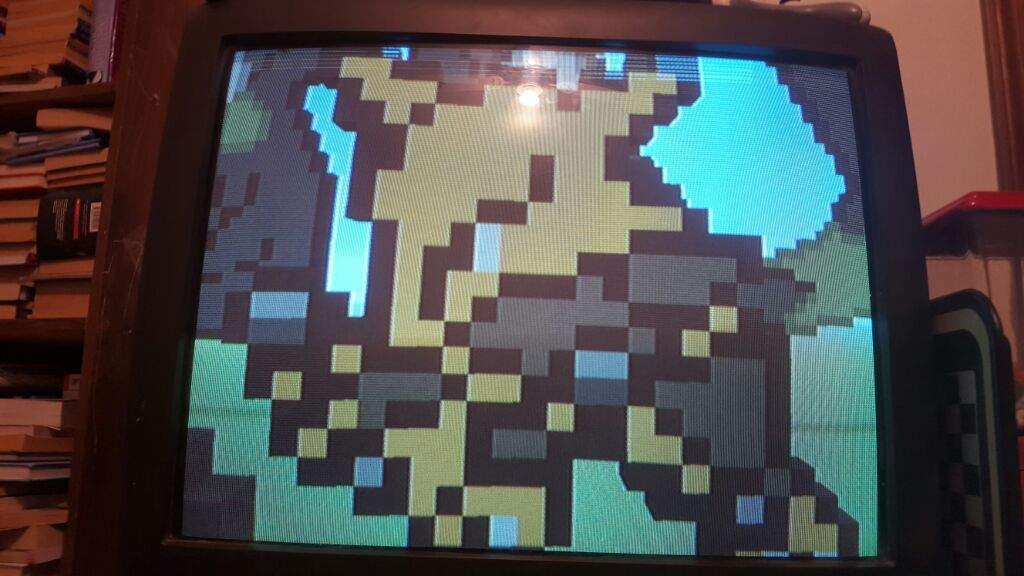 Pixelmon display Pokémon Amino