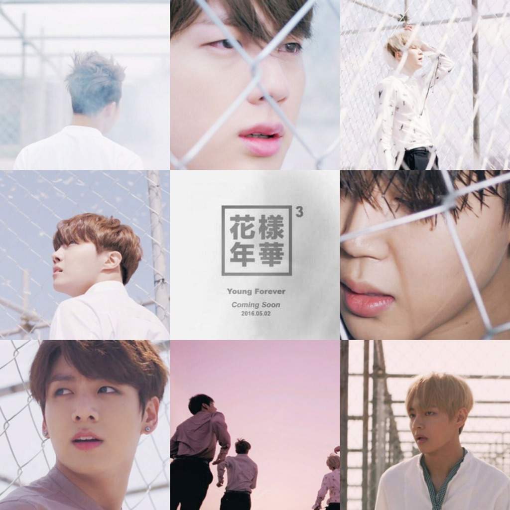 Янг бтс. БТС young Forever. БТС навсегда. BTS Epilogue карта. БТС молодые.