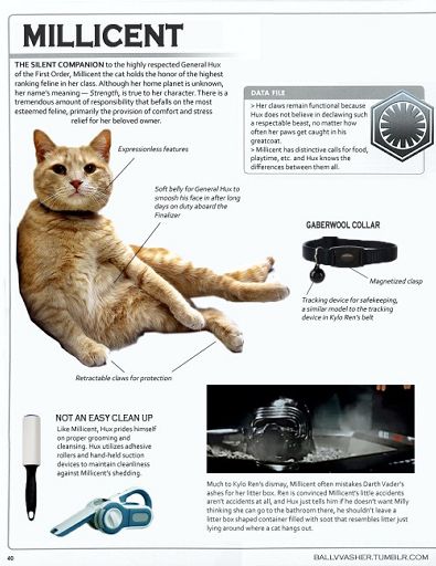 Millicent, the cat | Wiki | Star Wars Amino