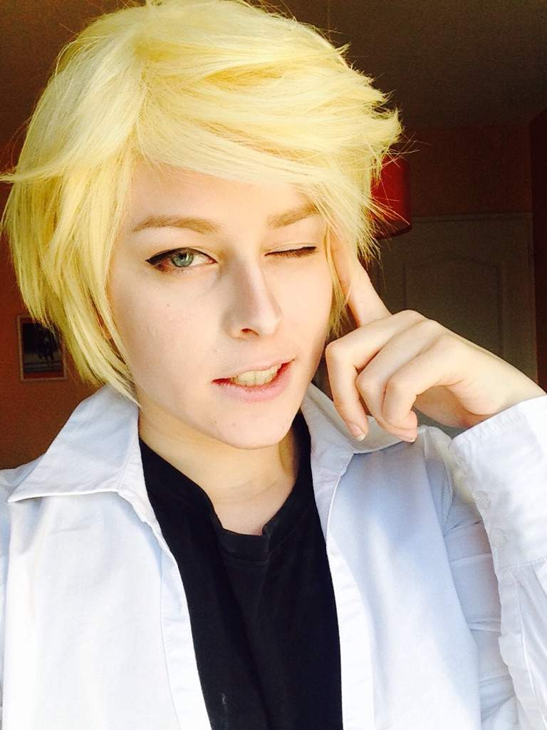 Adrien Agreste | Wiki | Cosplay Amino