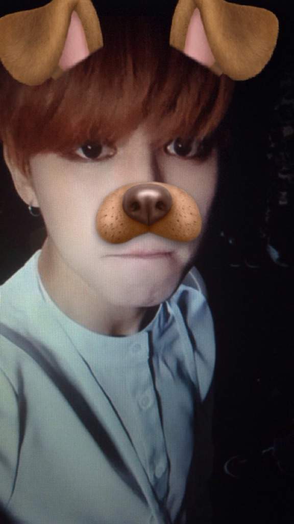 Snapchat Dog filter | K-Pop Amino