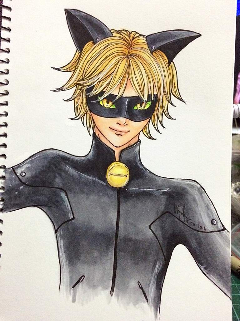 Chat Noir | Art Amino