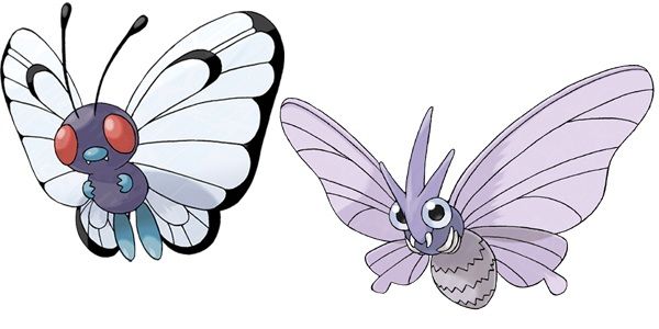 ButterFree should actually be Venomoth | Pokémon Amino