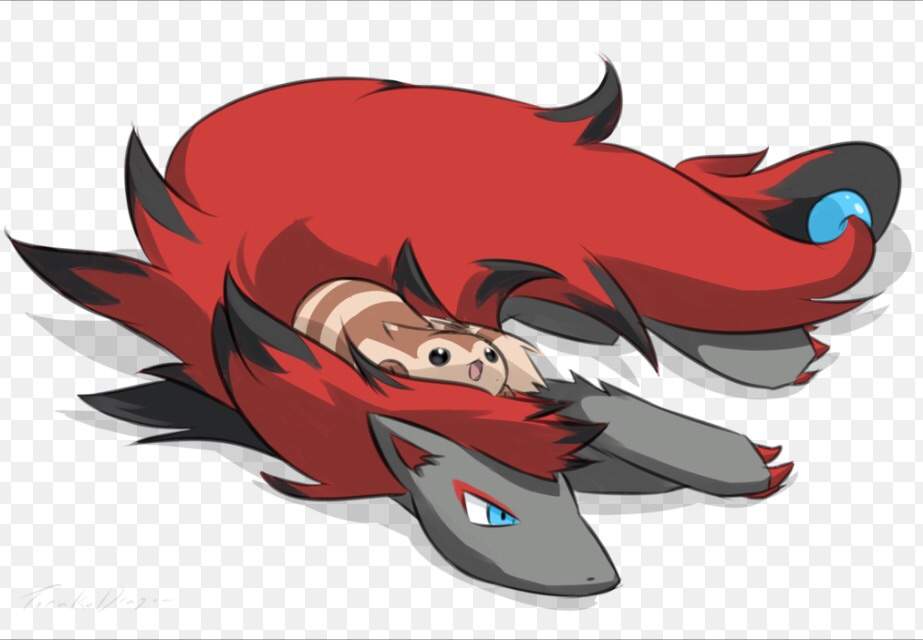 furret amazon