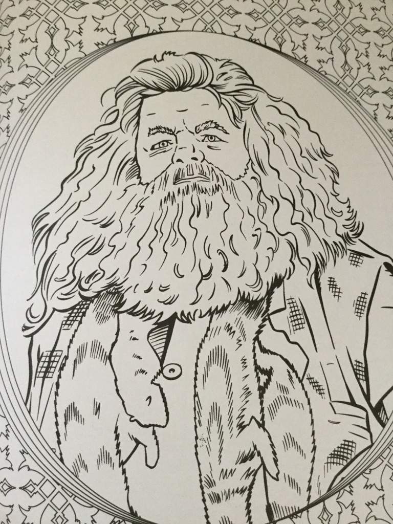 Rubeus Hagrid Wands Deaths Eaters Voldemort Hogwarts