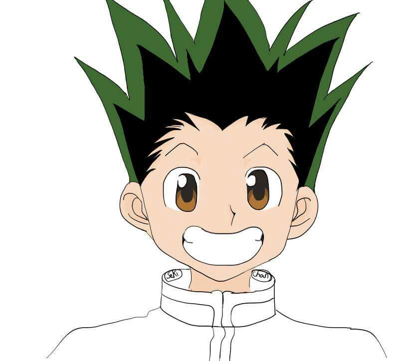 gon long hair figure