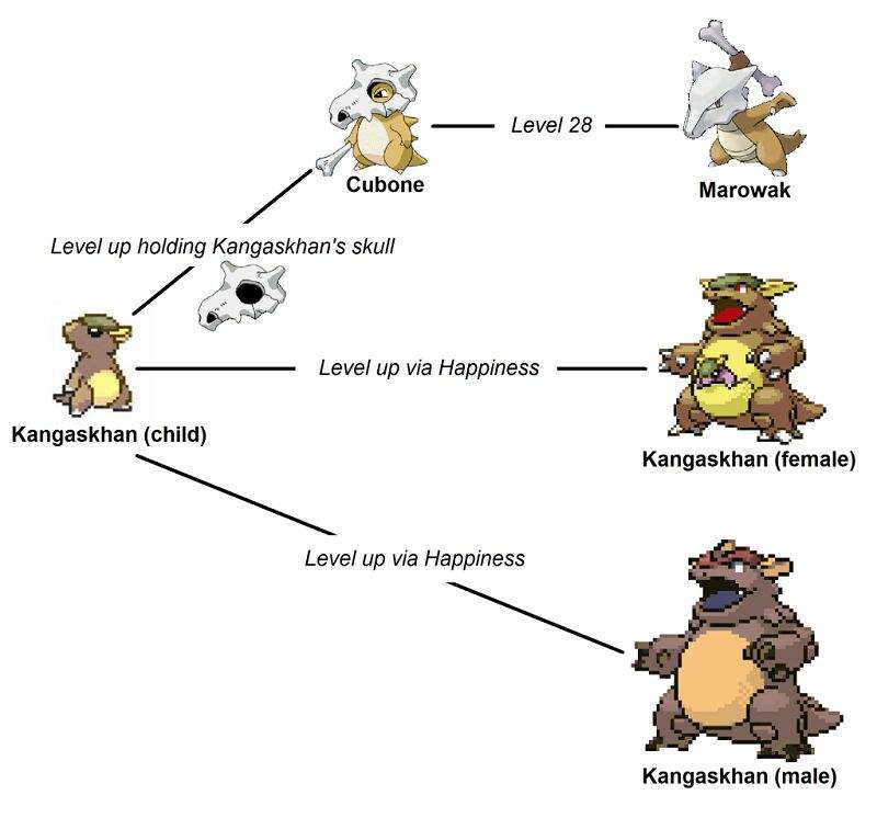 Kangaskhan Evolution Chart