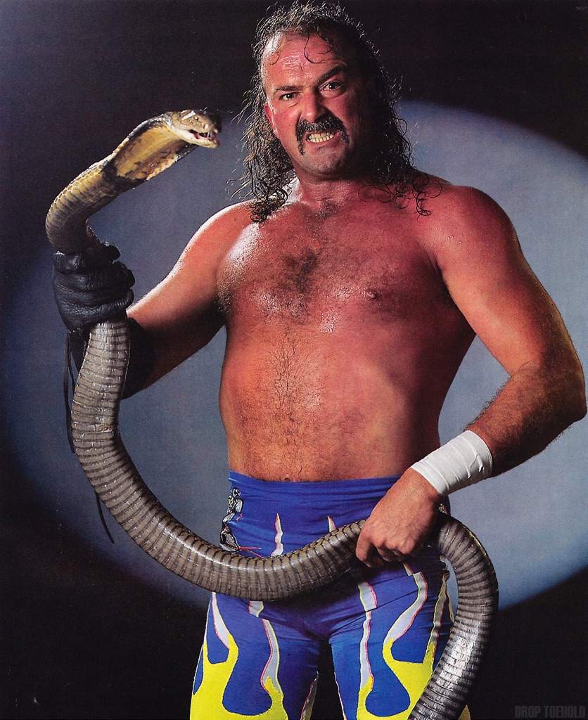 wwe biography jake the snake