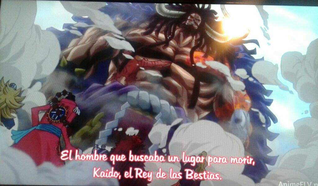 One Piece 739 Kaido Anime Amino