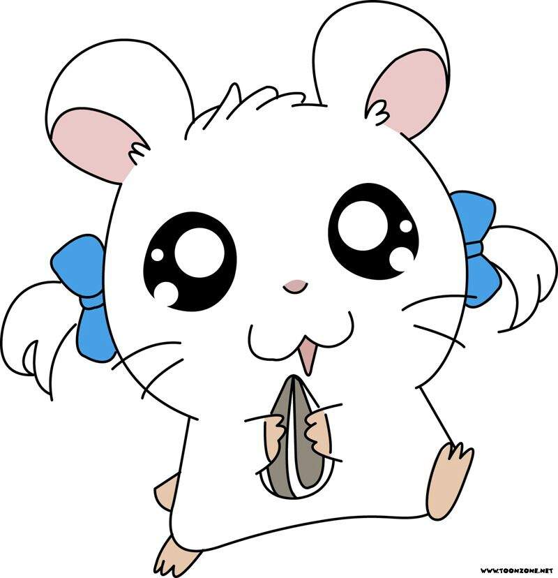 bijou hamtaro bijou hamtaro