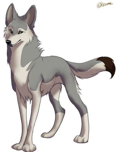 Shizuka Wolf | Wiki | Anime Amino