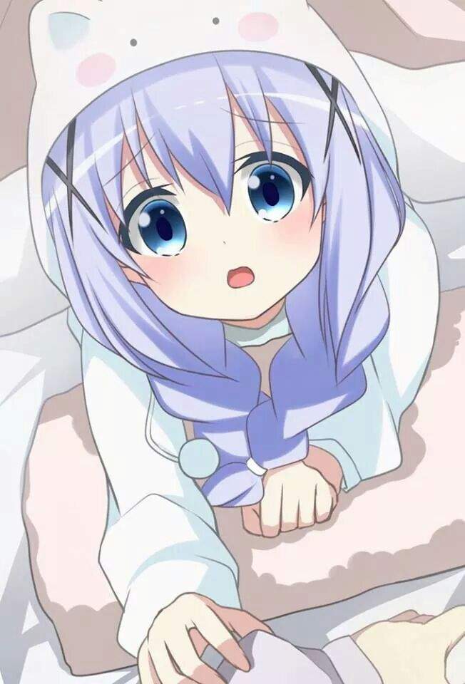 Lolis or nekos? | Anime Amino