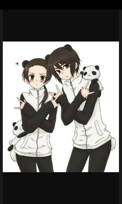 Pareja de pandas   Anime   Amino