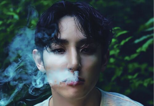 COMPLETE LIST OF KPOP IDOLS/ACTORS WHO SMOKE VANBUN