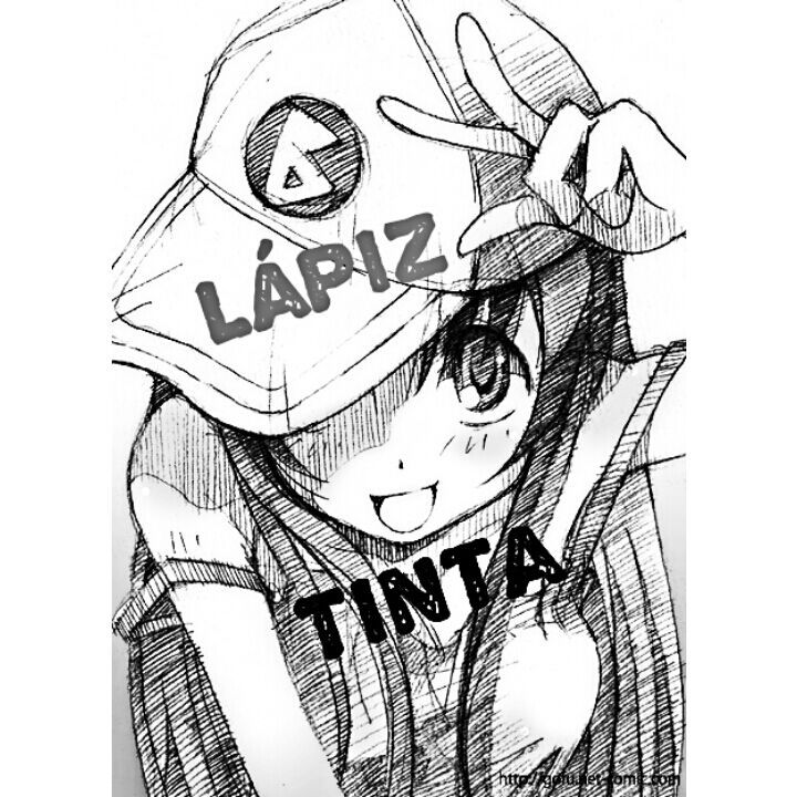 Lapiz O Tinta Encuesta Anime Amino