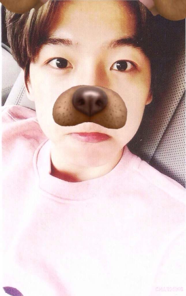 Baekhyun with dog filter (snapchat) | K-Pop Amino