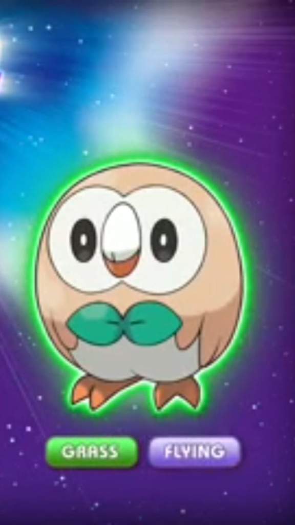 Rowlet | Wiki | Pokémon Amino