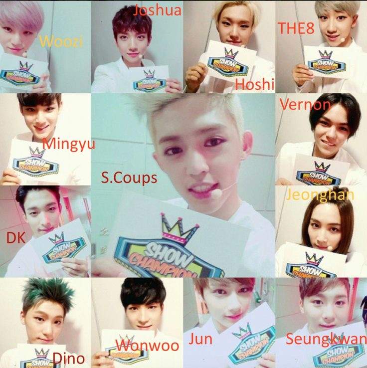 Who Is Your Seventeen Bias? | K-Pop Amino