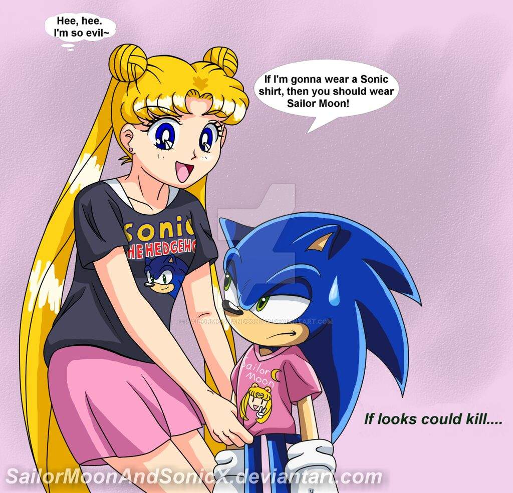 sonic x sailor moon over