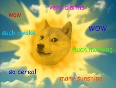 Doge Pop Punk Amino