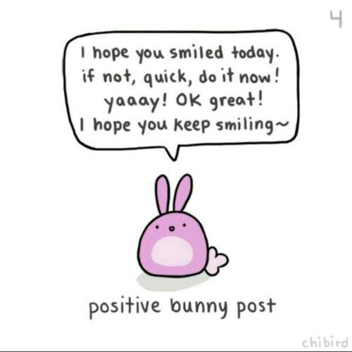 Positive bunny post🐰 | Anime Amino