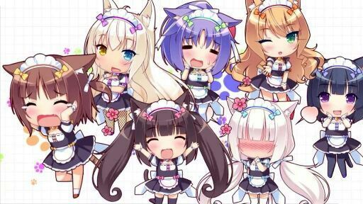 Nekopara | Neko Amino