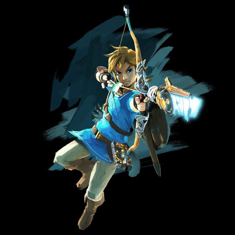 The Hylian Knights | Zelda Amino