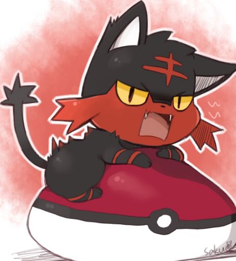 favorit fire cat litten | Wiki | Pokémon Amino