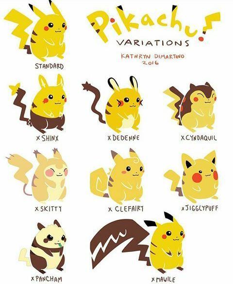 Variantes Pokemon: Pikachu | •Pokémon• En Español Amino