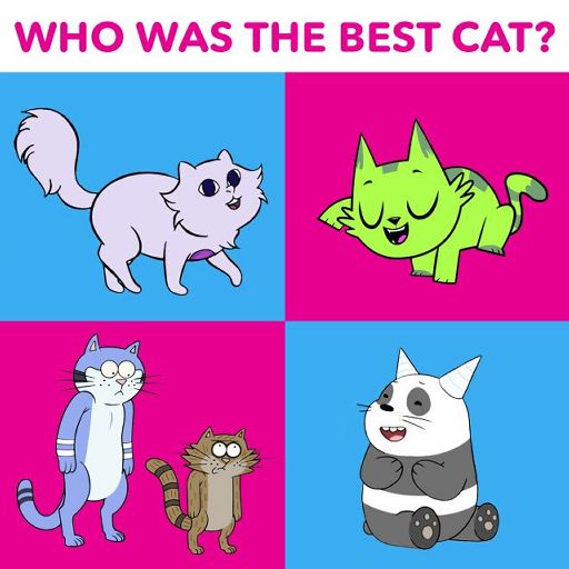 Which had the Best cat transformation | Cartoon Amino