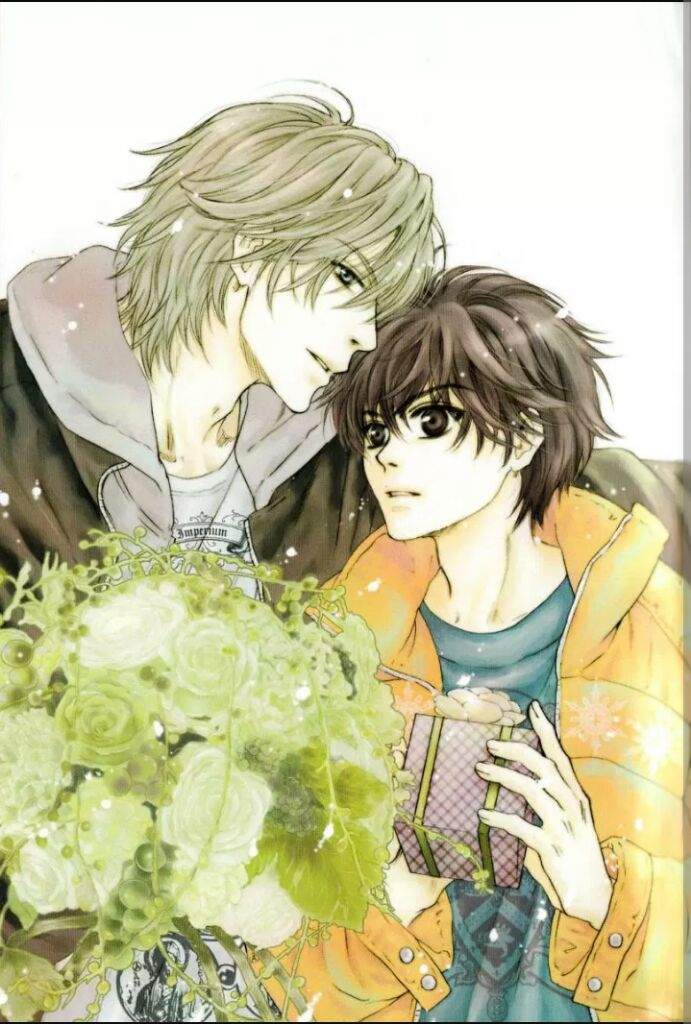 Super lovers | Anime Amino