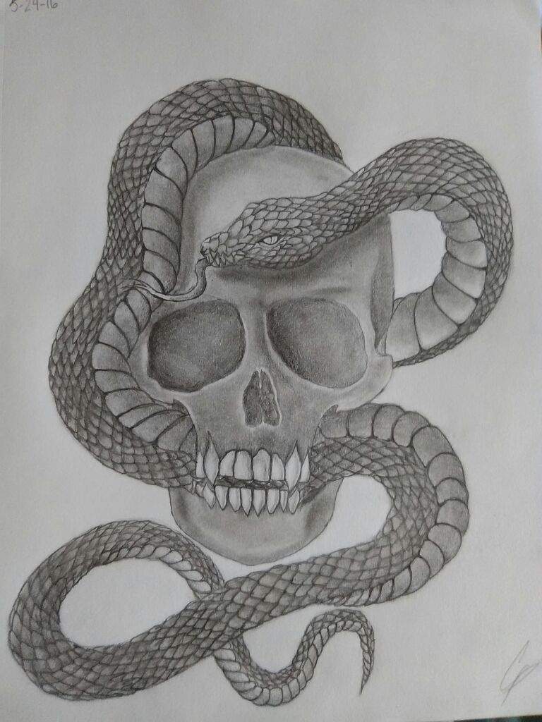 Skull and snake | Art Amino