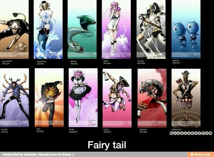 Zodiac Fairy Tail Style Anime Amino