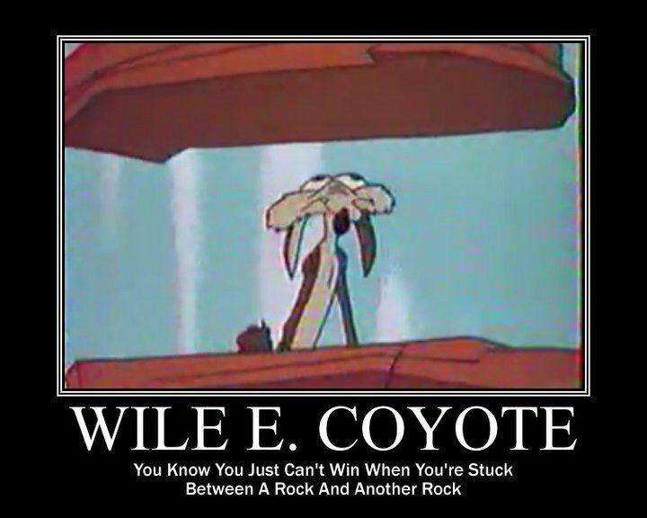 Wile E. Coyote | Cartoon Amino