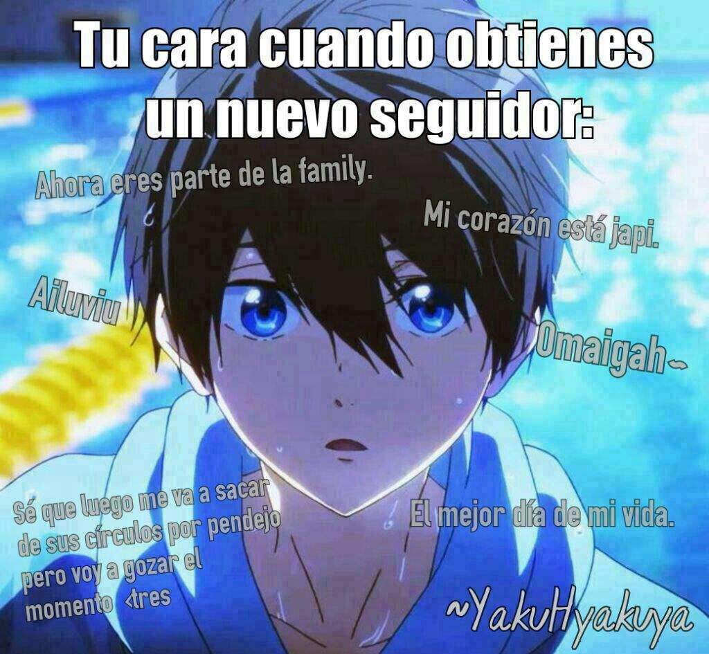 Yolo | •Anime• Amino