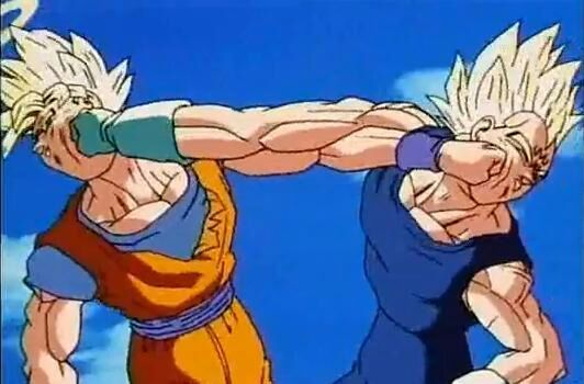 Which Goku vs Vegeta fight do you prefer | DragonBallZ Amino