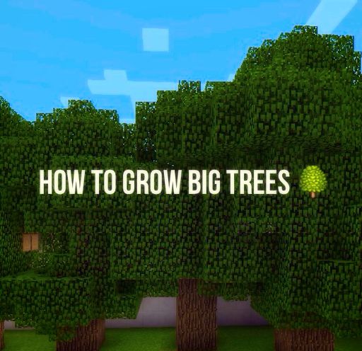 How To Grow Big Trees! | Minecraft Amino