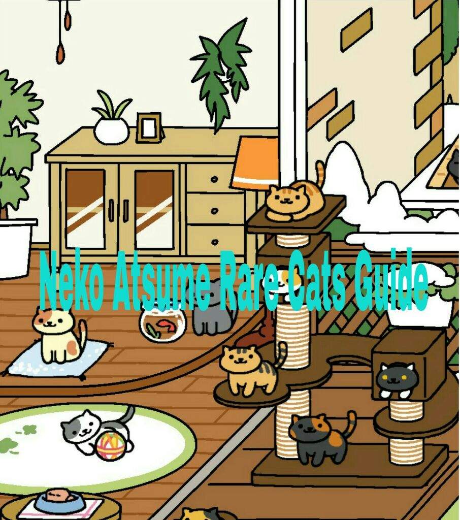 Neko Atsume Rare Cats Guide Neko Amino