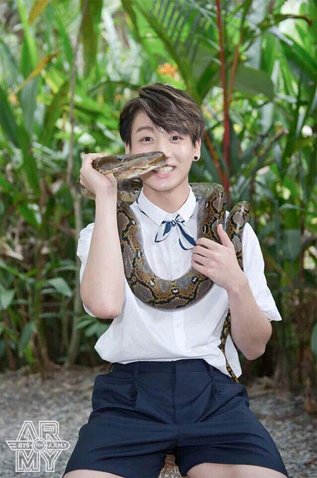 ?~BTS?SERPIENTE CON SUERTE~? | •K-Pop• Amino