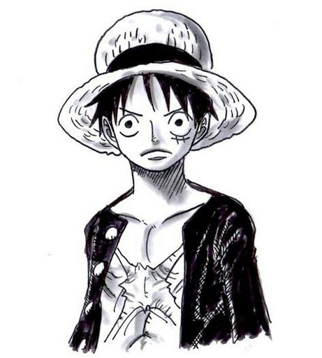 Monkey D. Luffy | Wiki | Anime Amino