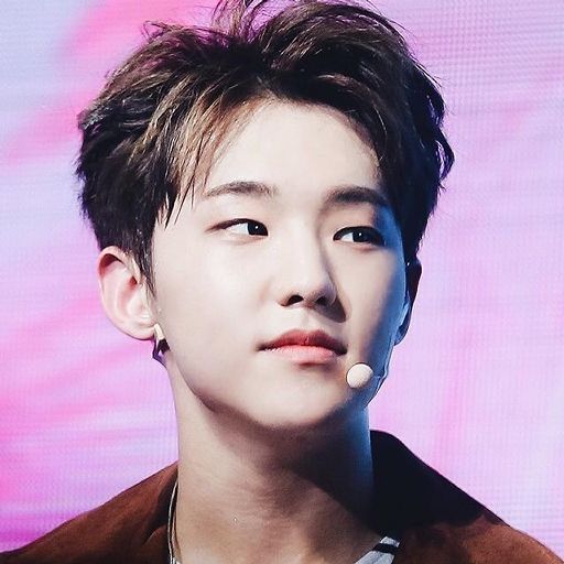 Kwon Soonyoung (Hoshi) | Wiki | K-Pop Amino