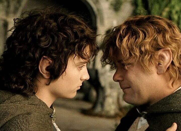 Favorite brothp is definitely Frodo and Sam :heart_eyes: :revolving_hearts.