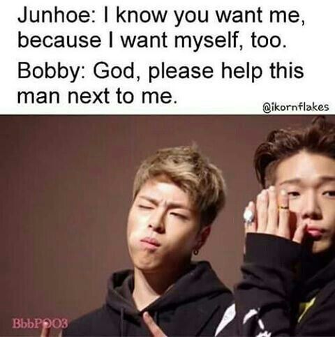 Ikon memes | K-Pop Amino