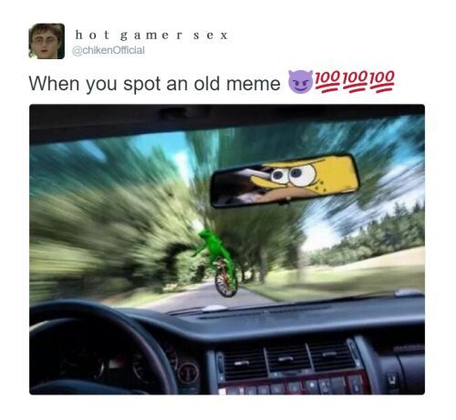 Spongegar Memes Anime Amino