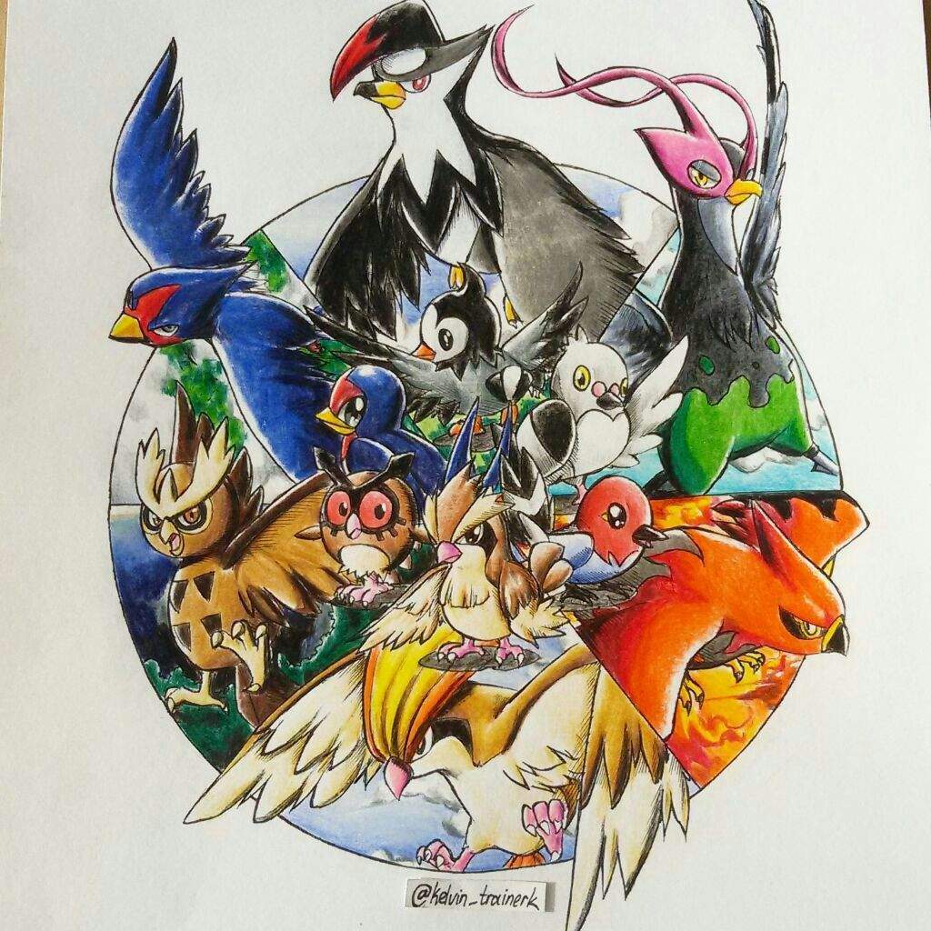 Favorite Regional Bird Pokémon Amino 