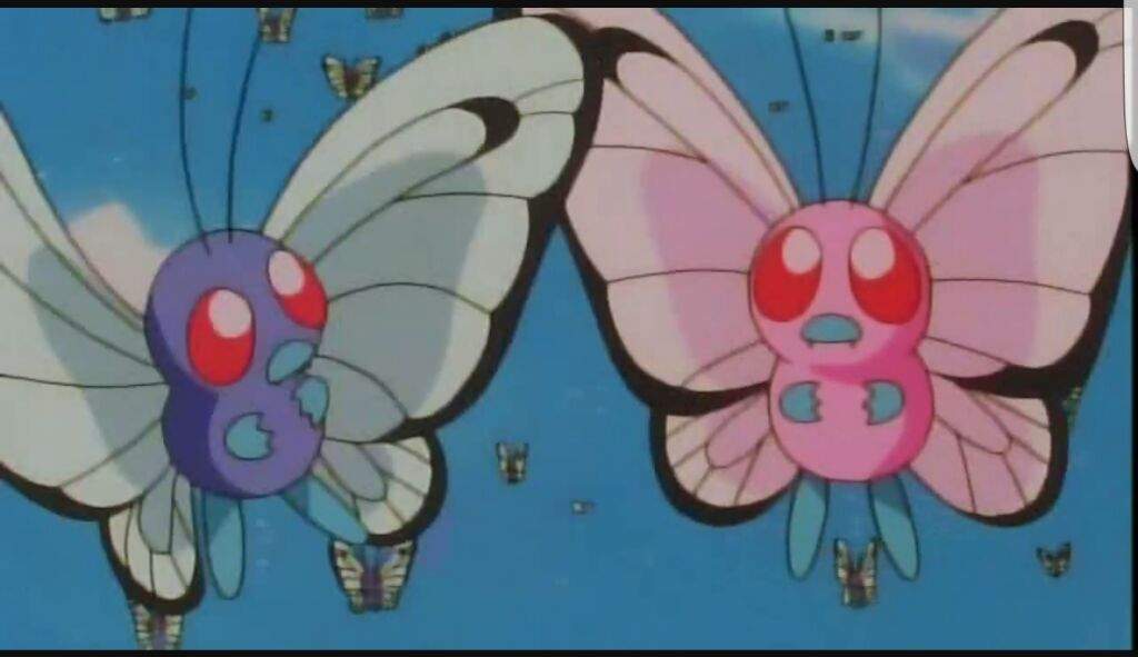 Ash's Butterfree falls for this one, but this Butterfree doesn't ...