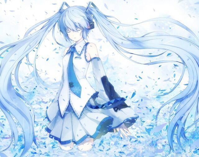 Snow Miku 10 Vocaloid Amino