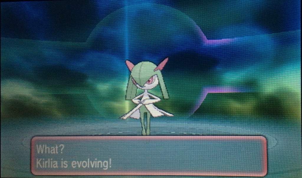 Training Guide Gardevoir Pokémon Amino
